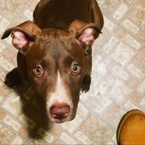 Meet your Posher, Jay